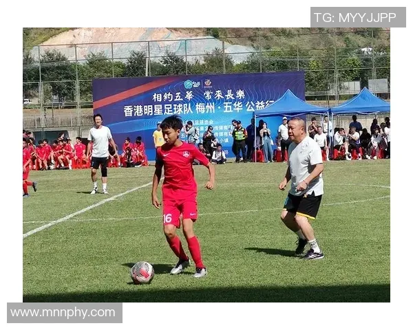 棒球与高空气象学解析在落基山脉打球时棒球飞行距离增加的科学